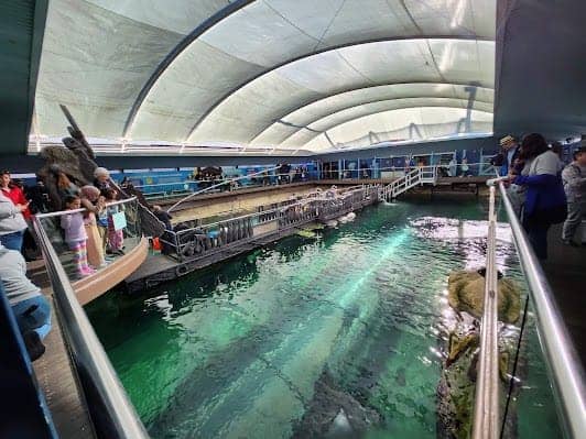 SEA LIFE Sydney Aquarium photo 4