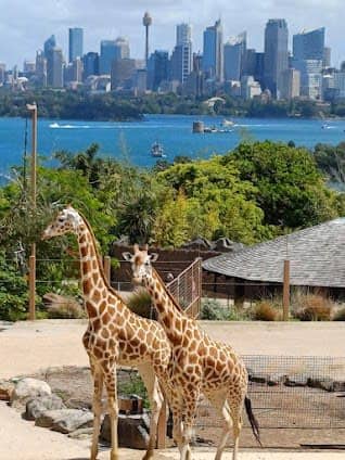Taronga Zoo Sydney photo 2