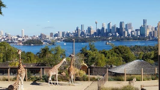 Taronga Zoo Sydney photo 3