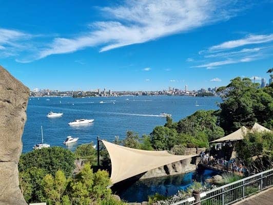Taronga Zoo Sydney photo 5