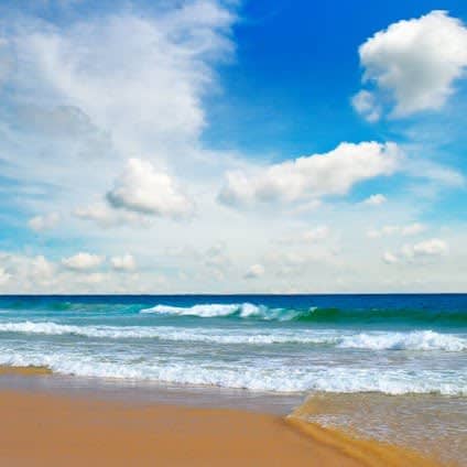 Bondi Beach photo 5