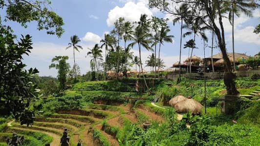 Aloha Ubud Swing photo 5