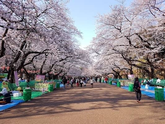 Ueno Park photo 4