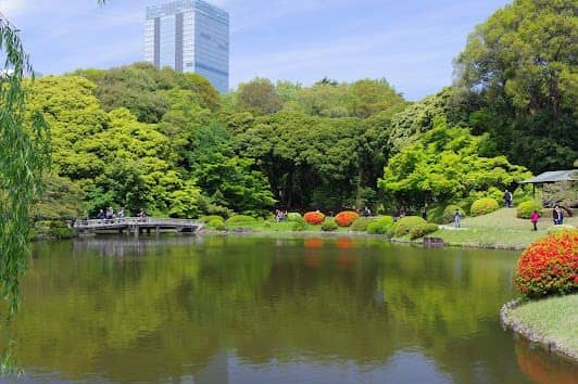 Shinjuku Gyoen National Garden photo 7