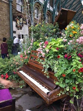 Covent Garden photo 3
