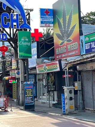 Bangla Road photo 4