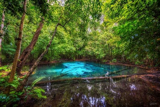 Emerald Pool