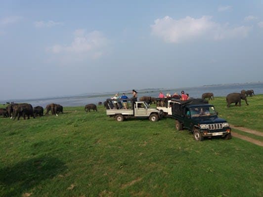 Kaudulla National Park Safari