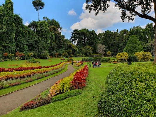 Royal Botanical Gardens, Peradeniya