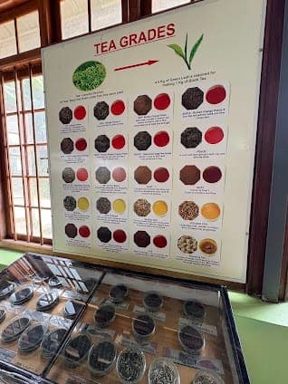 Ceylon Tea Museum