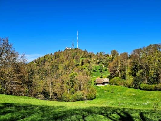 Uetliberg Mountain photo 7