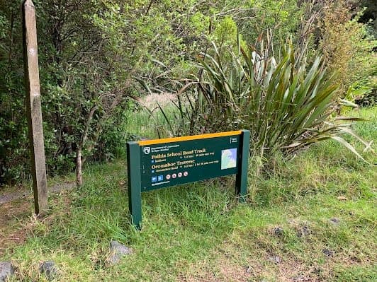 Opua Forest Lookout