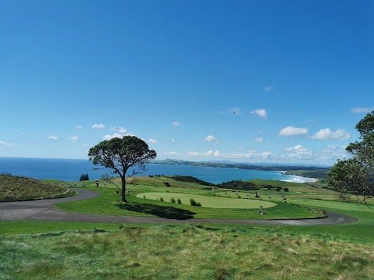Kauri Cliffs