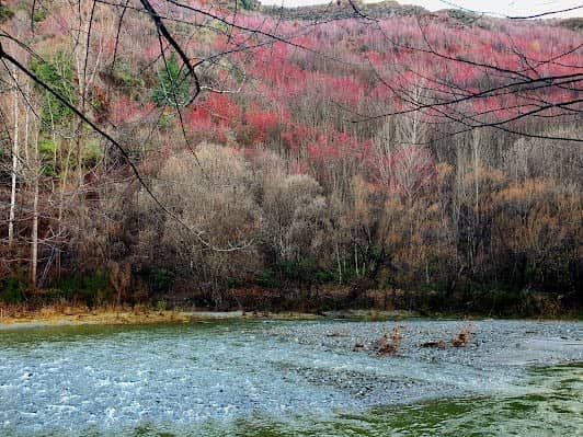 Arrowtown photo 3