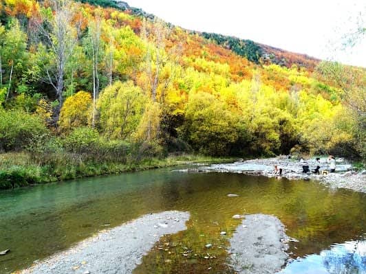 Arrowtown photo 4