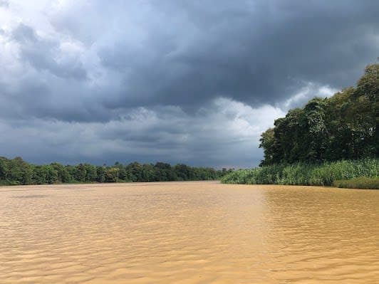 Kinabatangan River