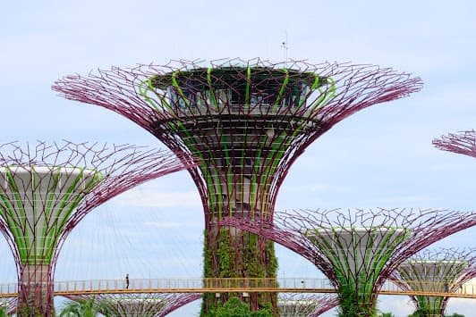 Gardens by the Bay