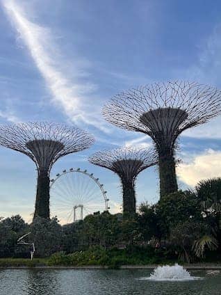 Gardens by the Bay photo 2