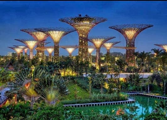 Gardens by the Bay photo 4