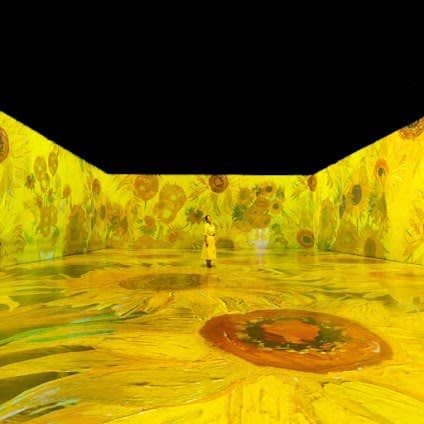 Transview Art Gallery