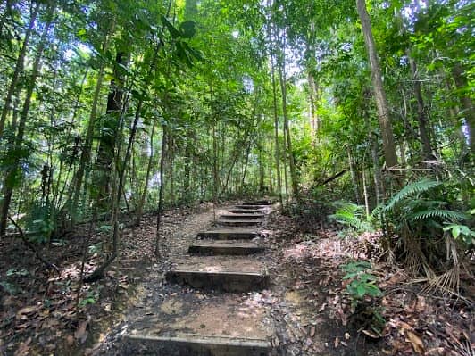 Bukit Timah Nature Reserve photo 2