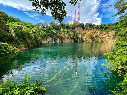 Bukit Timah Nature Reserve photo 5