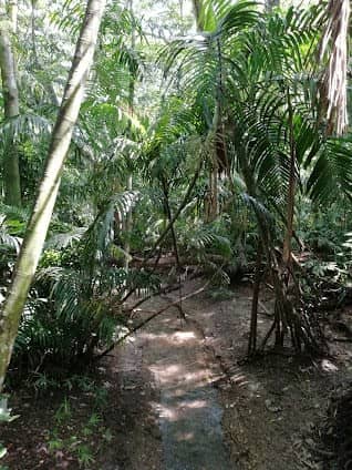 Port Moresby Nature Park photo 3
