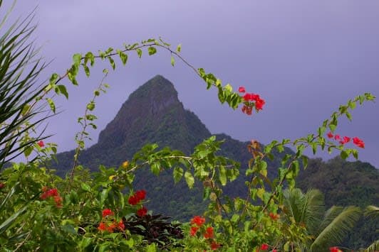Mount Rarotonga