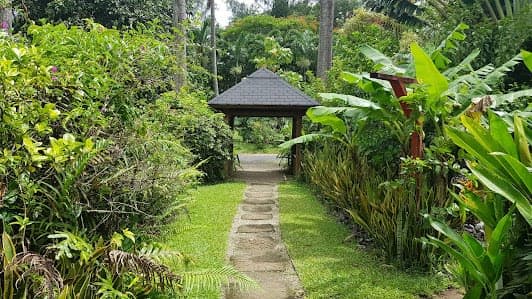 Maire Nui Gardens & Cafe