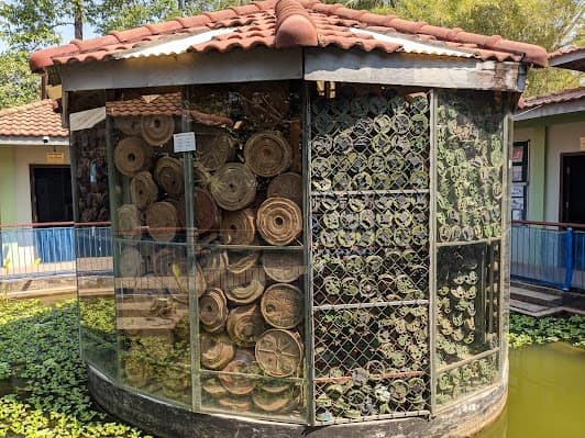 Cambodia Landmine Museum
