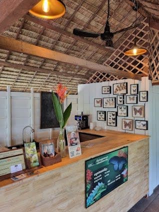 Banteay Srei Butterfly Centre