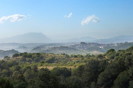 Collserola Natural Park
