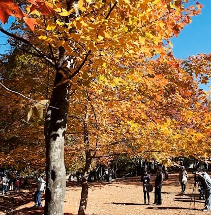Kunming Botanical Garden (North Gate)