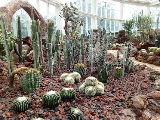 Bonsai Garden of Kunming