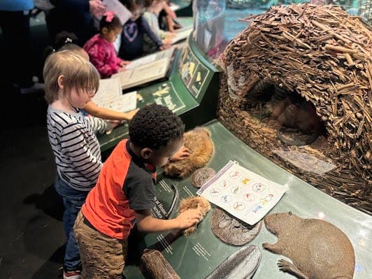 Grand Rapids Public Museum