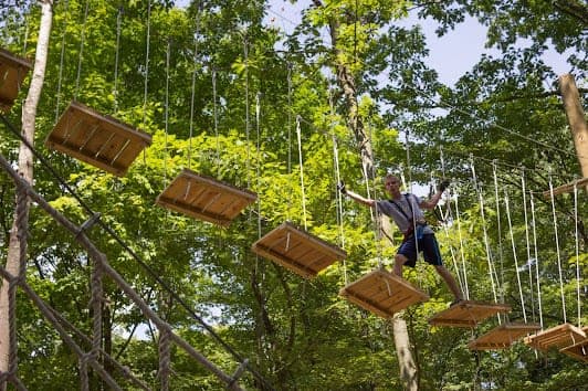 TreeRunner Adventure Park