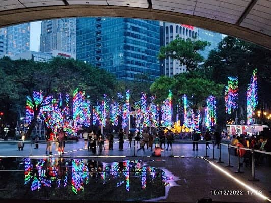 Ayala Triangle Gardens photo 5