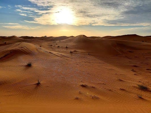 Desert Conservation Reserve