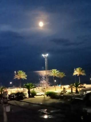 Hammamet Beach photo 5