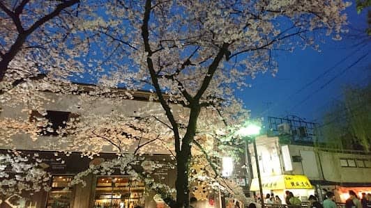 Gion District photo 7