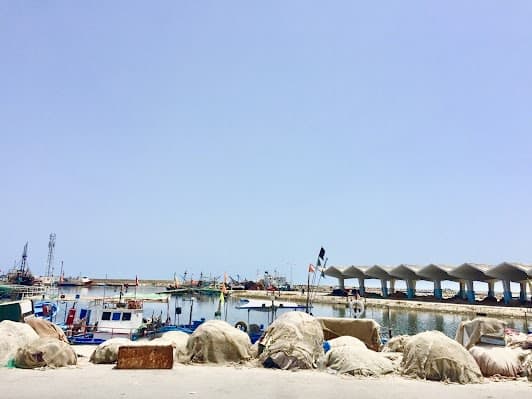 Fishing Port of Mahdia