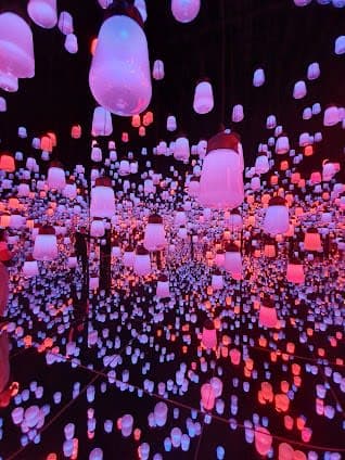 teamLab Borderless
