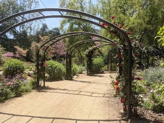 Descanso Gardens photo 6