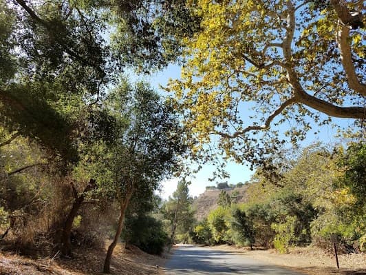 Franklin Canyon Park