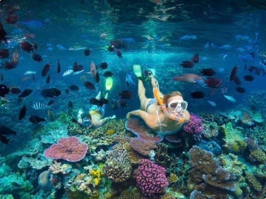 Lelepa Island Snorkeling Tour