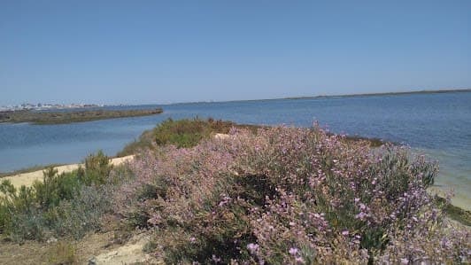 Ria Formosa