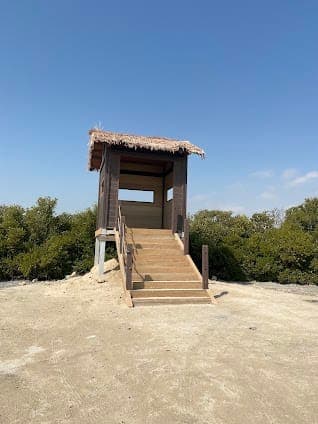 Qatar's Al Thakira Mangroves