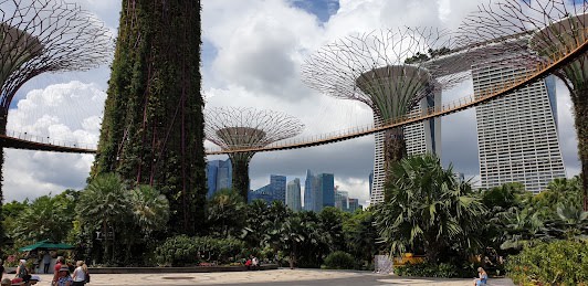 8 Day itinerary in Singapore, the Garden City