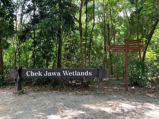 Chek Jawa Wetlands
