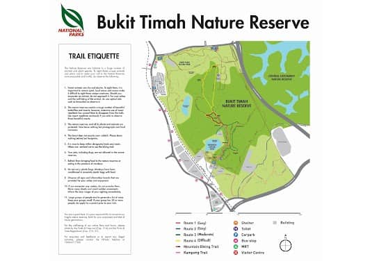 Bukit Timah Nature Reserve photo 6